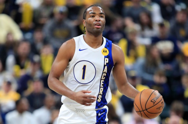 更为自己的 更为自己的