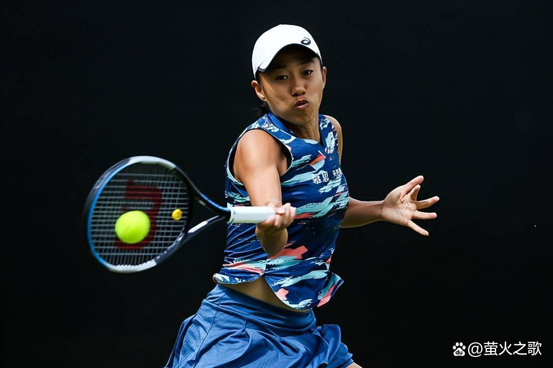 与装饰性 与装饰性